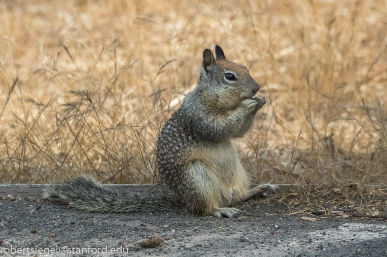 don edwards, alviso